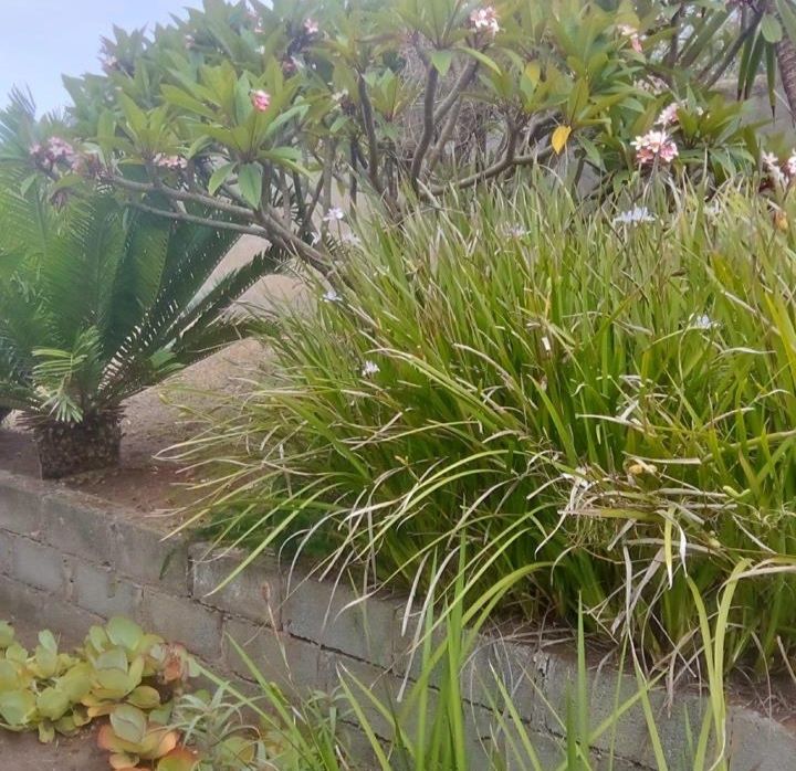 6 Bedroom Property for Sale in Kaysers Beach Eastern Cape